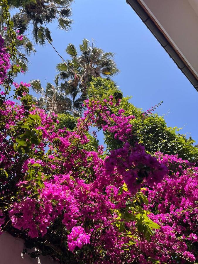 Palma Rosa Hotel Çamyuva Eksteriør billede